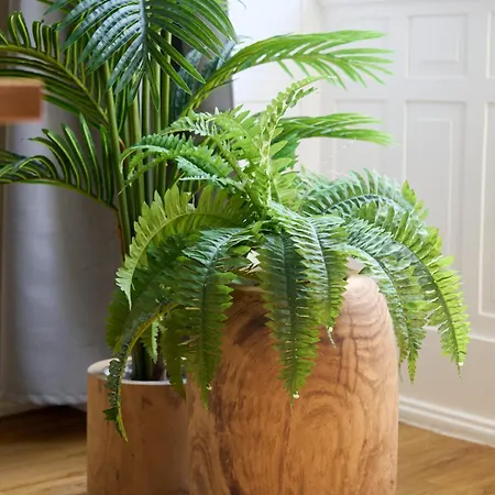 Rua Augusta Dream 公寓 *